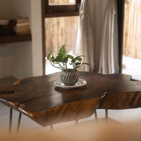 Big Tree Boutique Hotel Ko Tao Dış mekan fotoğraf