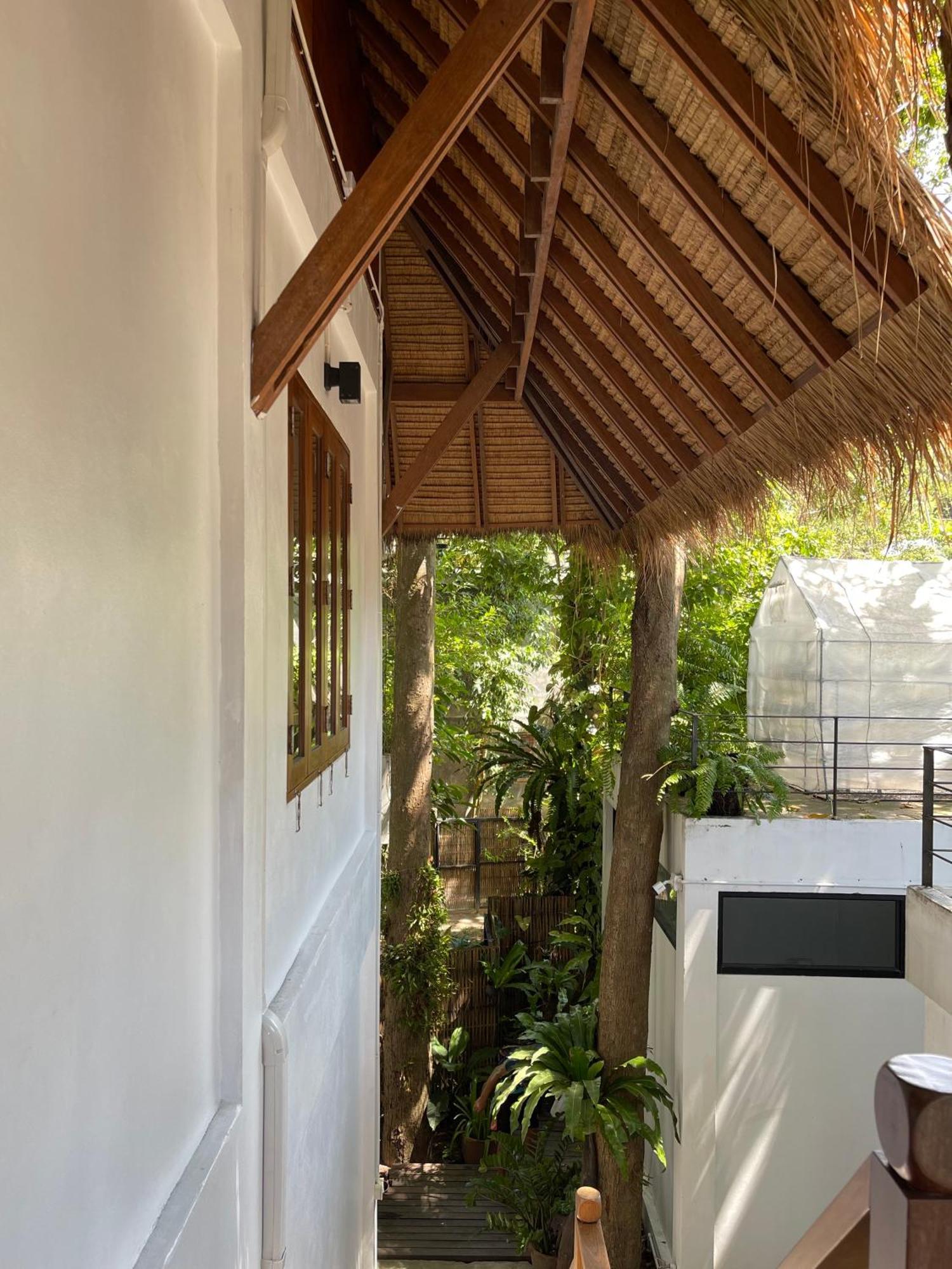 Big Tree Boutique Hotel Ko Tao Dış mekan fotoğraf