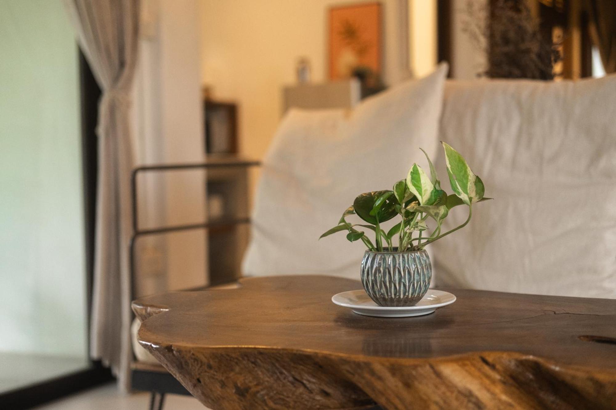 Big Tree Boutique Hotel Ko Tao Dış mekan fotoğraf