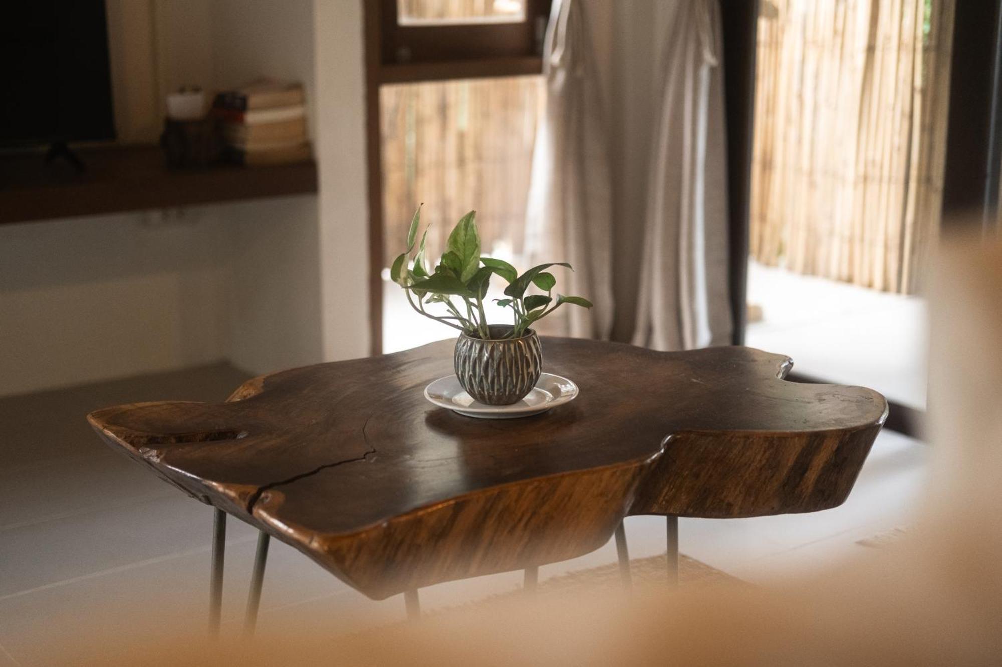Big Tree Boutique Hotel Ko Tao Dış mekan fotoğraf
